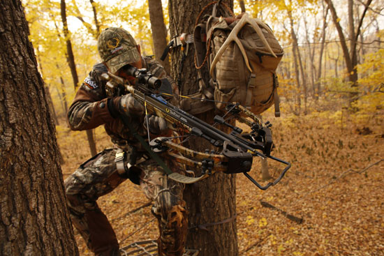 TenPoint-1